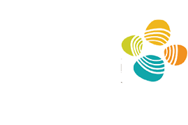 Logo-KAUST Logo KAUST 1